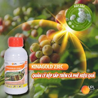 Thuốc trừ sâu KinaGold 23EC - Chai 450ml